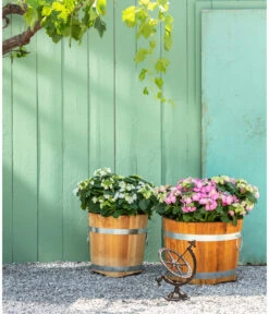 Küferei Kardos Robinienkübel, Rund -Biohort Verkäufe 1709096 1709401 1709443 1709732 1709807 1710037 WE MO 001 Robinienkuebelrund