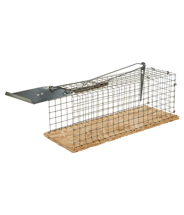 Lebendfalle Für Ratten 4 Lebendfalle Für Ratten – Bild 2