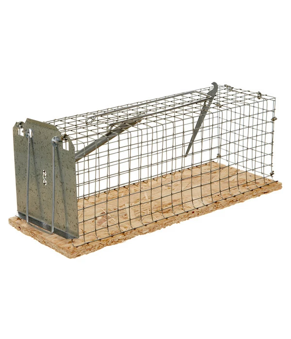 Lebendfalle Für Ratten 3 Lebendfalle Für Ratten