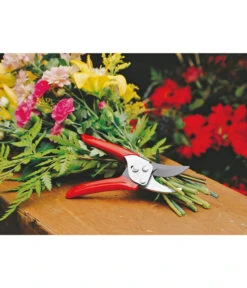 Wolf-Garten Wolf Gartenschere RR-EN -Biohort Verkäufe 239038 MO 002 GARTENSCHERERREN