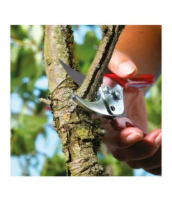 Wolf-Garten Wolf Gartenschere RR-EN -Biohort Verkäufe 239038 MO 004 GARTENSCHERERREN