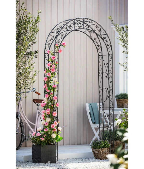 Dehner Metall-Rosenbogen Cornwall, Ca. B118/H236/T31 Cm 6 Dehner Metall-Rosenbogen Cornwall, Ca. B118/H236/T31 Cm – Bild 4