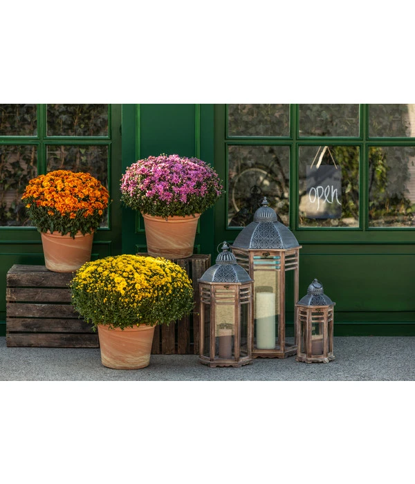 Spang Terrakotta-Topf Toscana, Rund 6 Spang Terrakotta-Topf Toscana, Rund – Bild 4