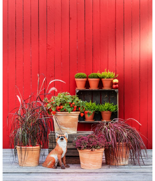 Spang Terrakotta-Topf Toscana, Rund 7 Spang Terrakotta-Topf Toscana, Rund – Bild 5