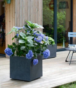 EDA-plastiques Kunststoff-Topf Basalt, Quadratisch, Anthrazit, Ca. B49,5/H49,5/T49,5 Cm 5 EDA-plastiques Kunststoff-Topf Basalt, Quadratisch, Anthrazit, Ca. B49,5/H49,5/T49,5 Cm -Biohort Verkäufe 6640460 WE MO 001 PflanzkuebelBasalt