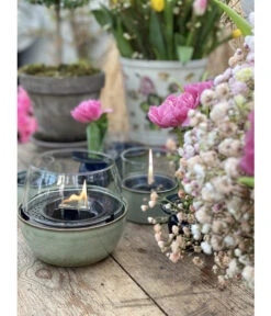 Tenderflame Tischfeuer Tulip, Ca. Ø14/H14 Cm -Biohort Verkäufe 6895817 6895809 6895791 WE MO 001 TenderflameGreen