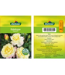 Edelrosen-Mix 'Nostalgie®' 27 Edelrosen-Mix 'Nostalgie®' -Biohort Verkäufe 7800063 AquarellEdelrose Etikett1