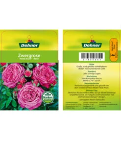 Edelrosen-Mix 'Nostalgie®' 32 Edelrosen-Mix 'Nostalgie®' -Biohort Verkäufe 7800063 HeidiKlumZwergrose Etikett1