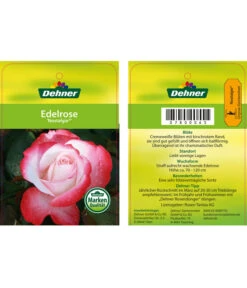 Edelrosen-Mix 'Nostalgie®' 33 Edelrosen-Mix 'Nostalgie®' -Biohort Verkäufe 7800063 NostalgieEdelrose Etikett1