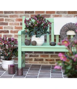 Schneerose 'Ice N' Roses® Red' - Helleborus Gold Collection® 9 Schneerose 'Ice N' Roses® Red' - Helleborus Gold Collection® -Biohort Verkäufe 8010969 WE MO 001 HelleborusWeinrotDehnerExpressHerzig