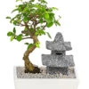 Bonsai Mit Buddha/Pagode, Verschiedene Sorten 1 Bonsai Mit Buddha/Pagode, Verschiedene Sorten -Biohort Verkäufe 8686669 PR FS 001 BonsaiMixMitBuddhaPagodeT18DehnerExpressHerzig