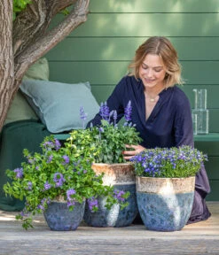 Dehner Keramik-Topf Mystras, Rund, Blau-braun -Biohort Verkäufe 8811143 WE MO 001 BlaueMauritius